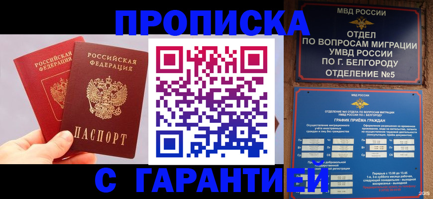 прописка 2025 в Абинске